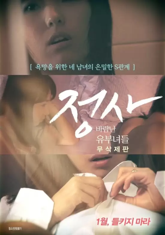 An Affair: Cheating Housewives (Director's Cut)