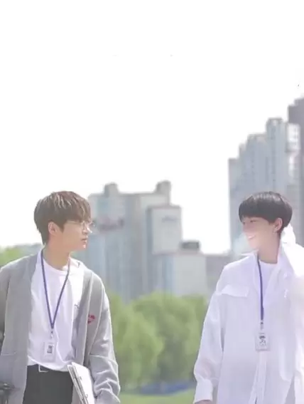 Stray Directors