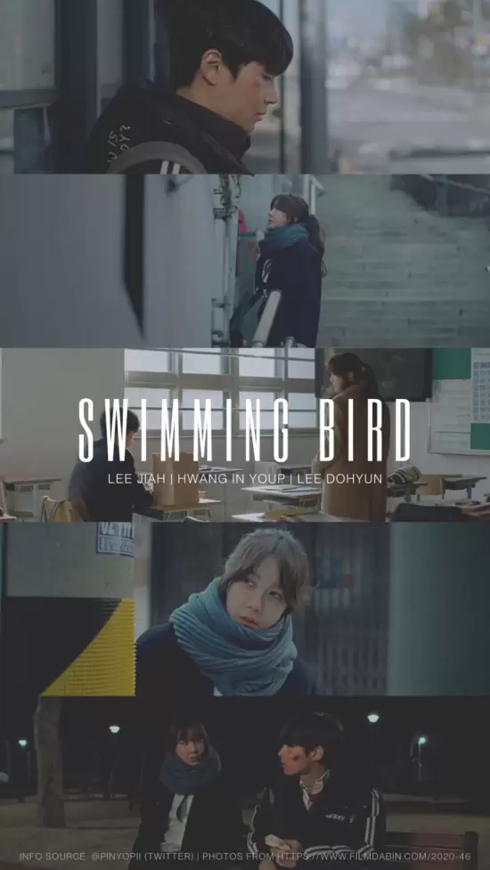 Swimming Bird